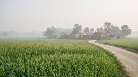 फूलपुर विधानसभा सीट: 2012 से 2024 उपचुनाव तक का चुनावी इतिहास