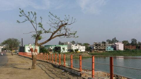 गोरखपुर में रामगढ़ ताल के किनारे नारंगी रेलिंग, पेड़ और पीछे बनी इमारतें